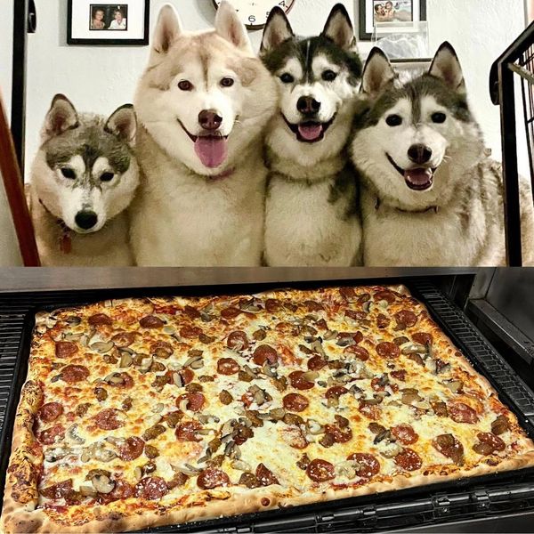 Big Dog Pizza, LLC.